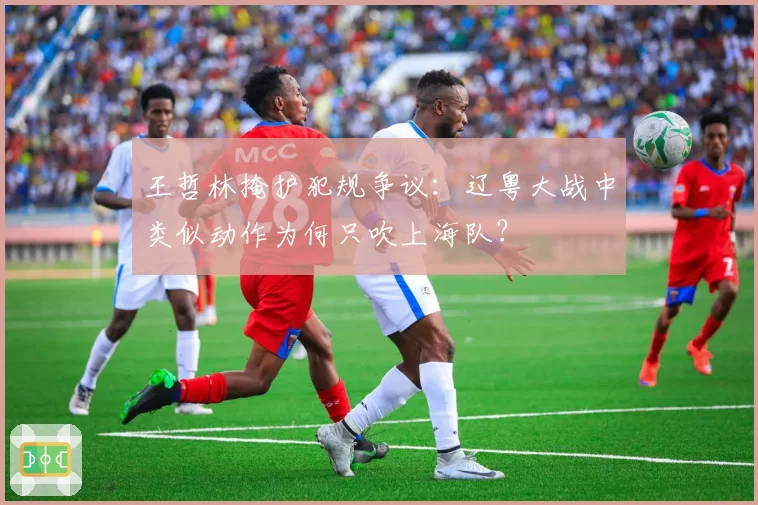 王哲林掩护犯规争议:辽粤大战中类似动作为何只吹上海队?