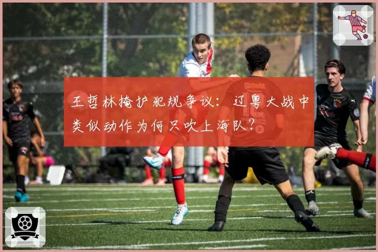 王哲林掩护犯规争议:辽粤大战中类似动作为何只吹上海队?