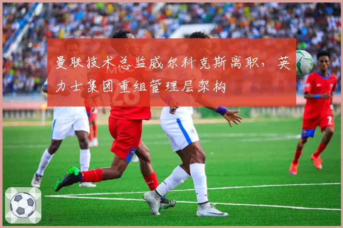曼联技术总监威尔科克斯离职,英力士集团重组管理层架构